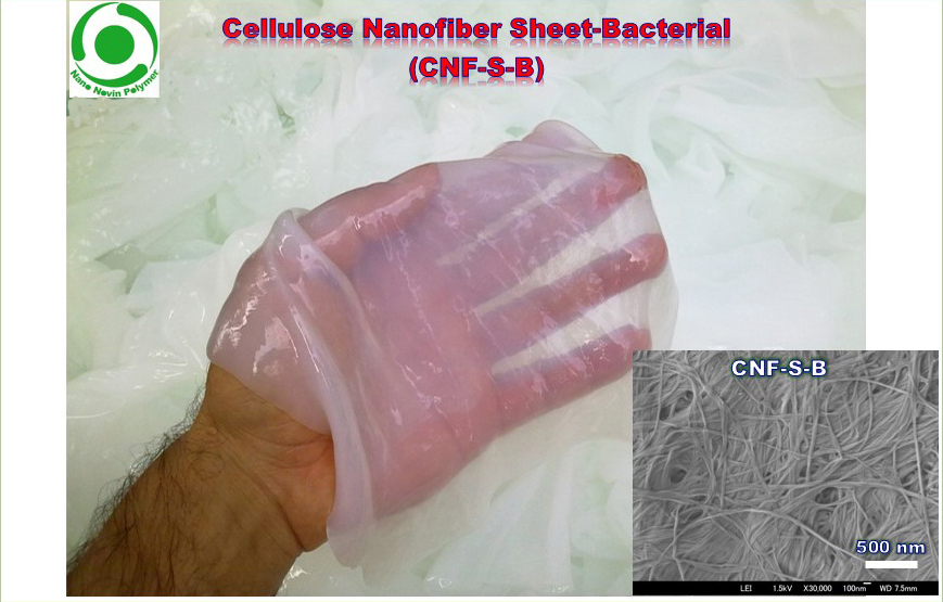 فیلم نانوفیبرسلولز-باکتریایی (CNF-F-B)