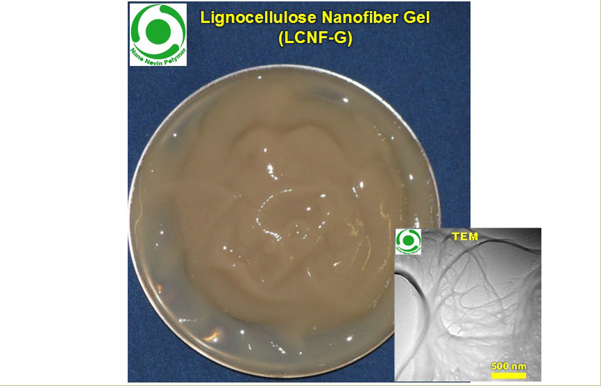 ژل نانوفیبر لیگنوسلولز (LCNF-G)