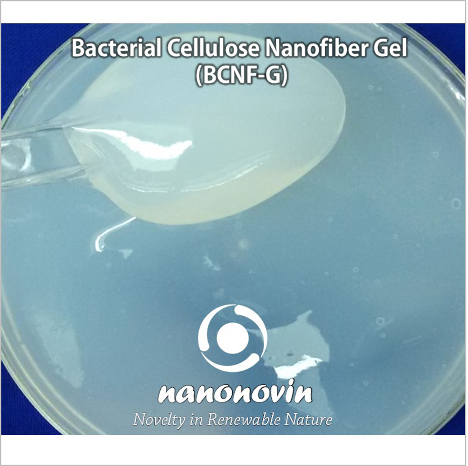 Bacterial Cellulose Nanofiber Gel (BCNF-G)- 1%