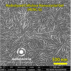 Hydrolyzed Cellulose Nanocrystal Gel (HCNC-G)-8%